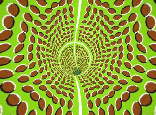 http://a134.idata.over-blog.com/500x369/0/19/24/98/illusions/illusion-d-optique-bouge-pois.jpg